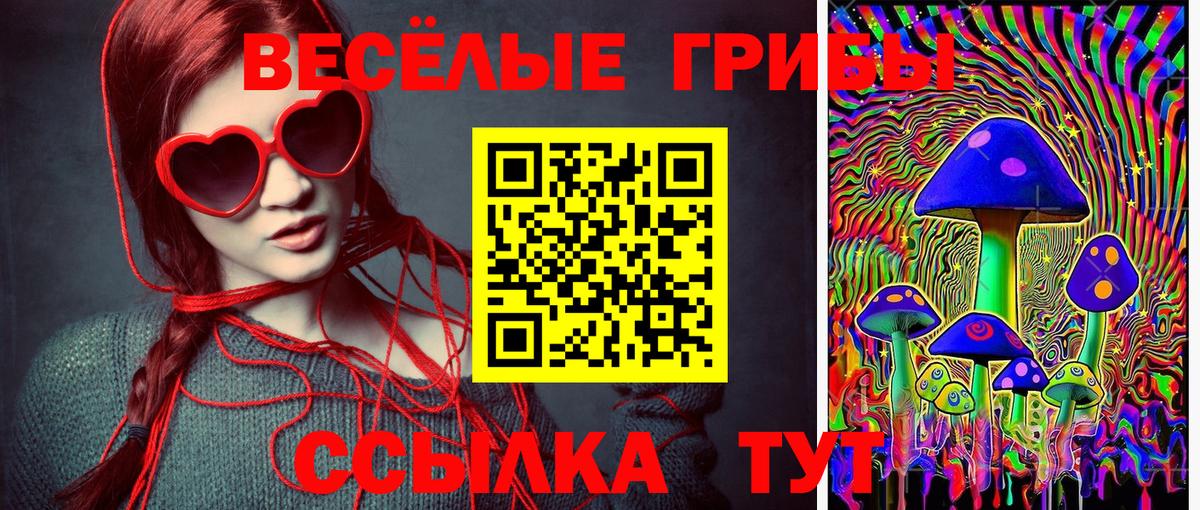 Галлюциногенные грибы Psilocybe  Вход с VPN  Лысьва 