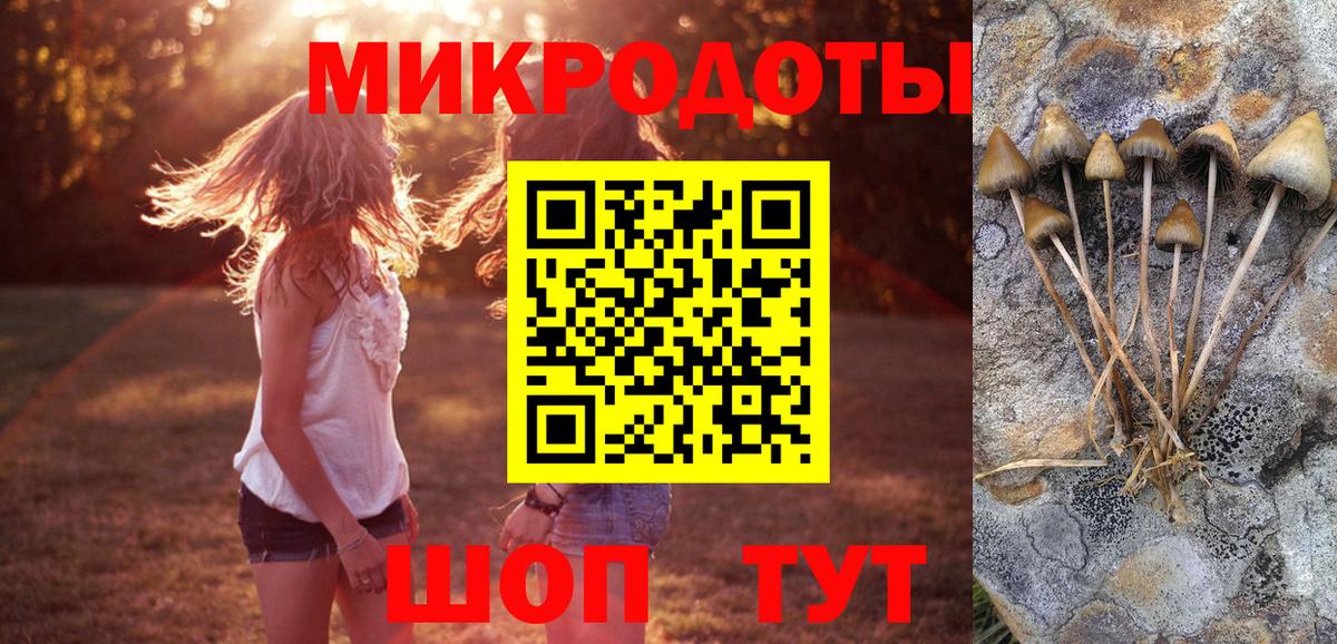 Псилоцибиновые грибы Cubensis Лысьва